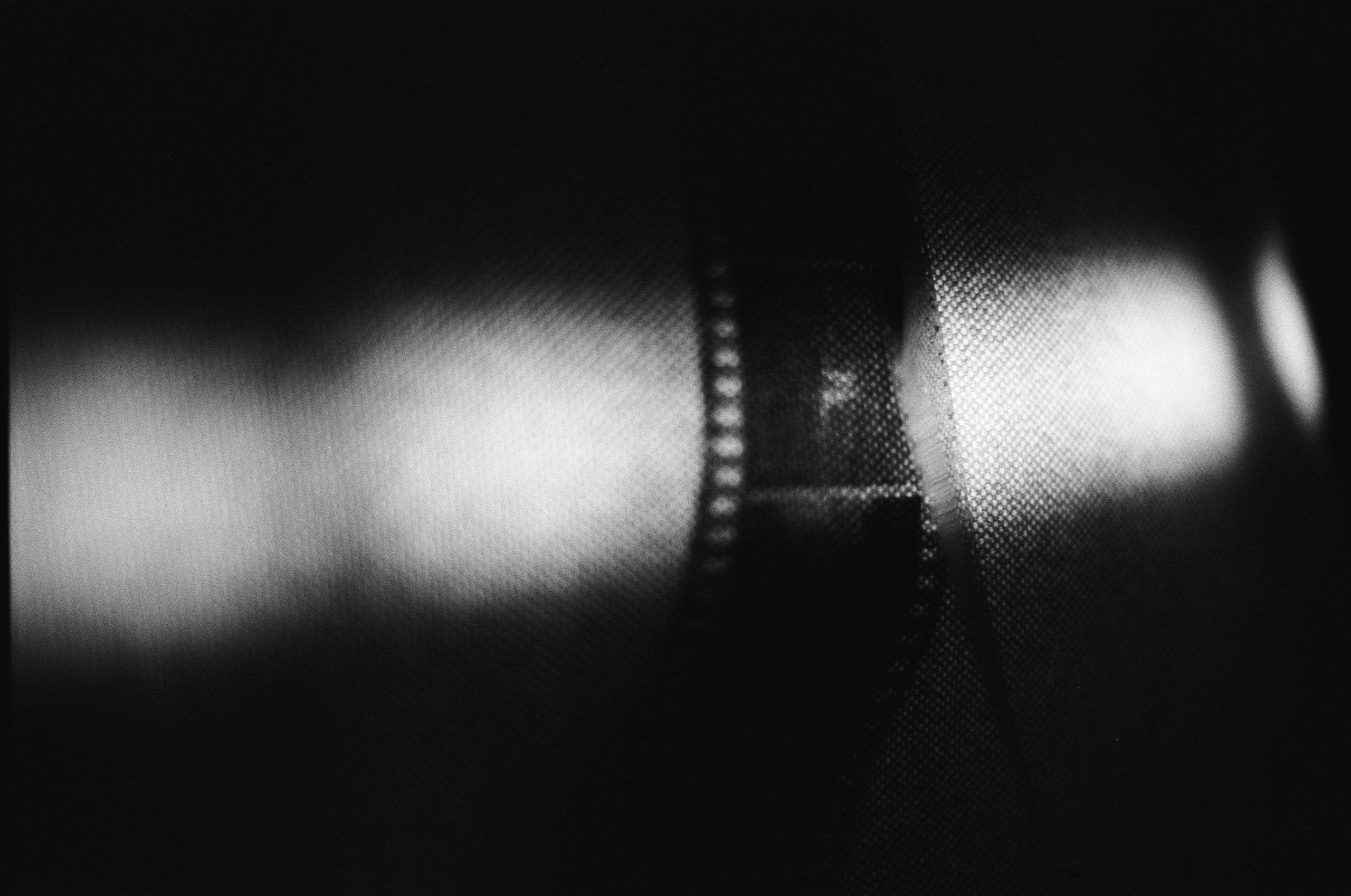 pexels-123396308-9940546